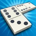 play dominoes